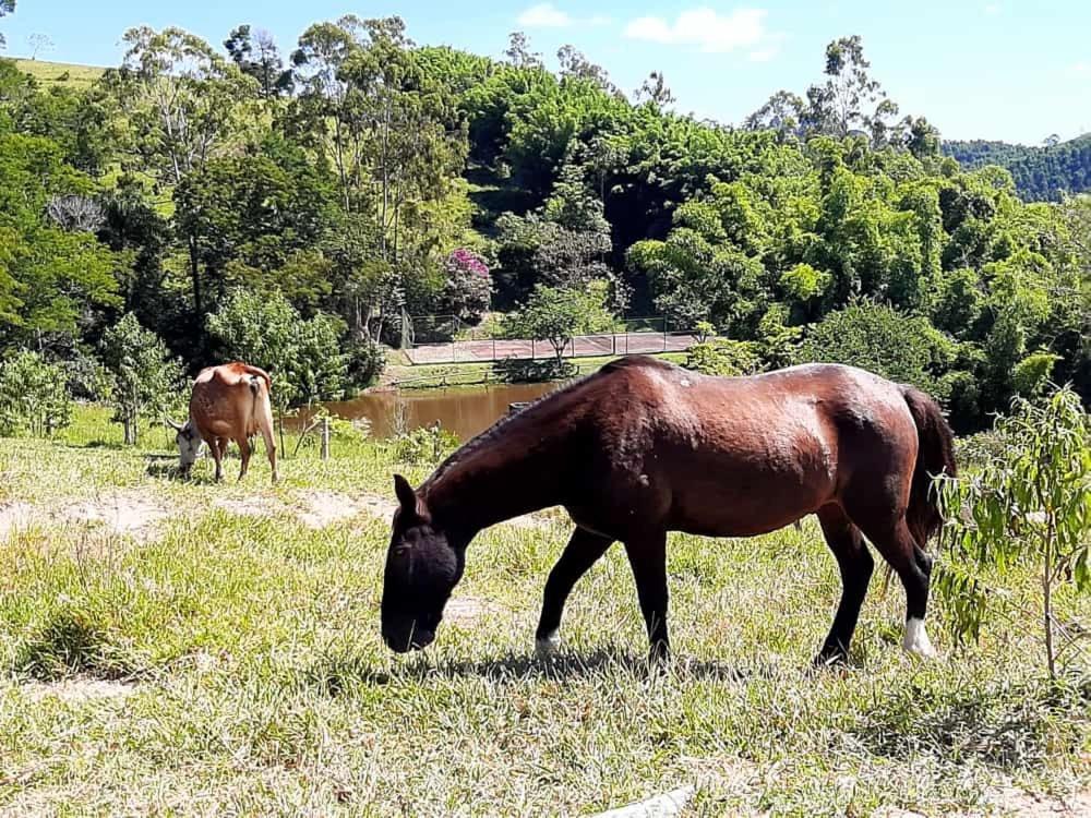 Hotel Fazendao Santa Branca Bagian luar foto